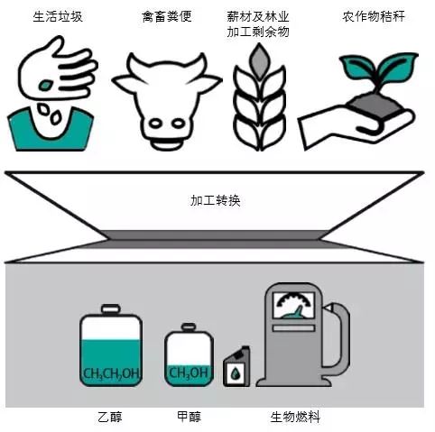 生物燃料